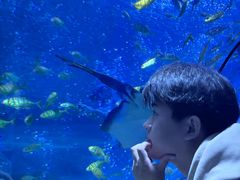 -太平洋海底世界