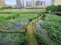 -龙环葡韵住宅式博物馆