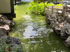 -君庭中餐厅(友谊宾馆店)