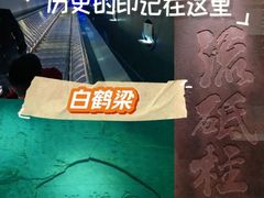 -白鹤梁水下博物馆