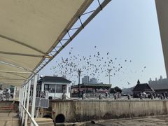 -大连圣亚海洋世界