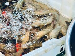 -争先鲜·蒸汽海鲜自助·鲜切牛肉