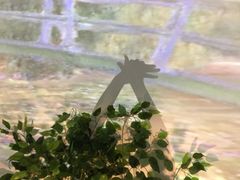 -印象莫奈时光映迹艺术展
