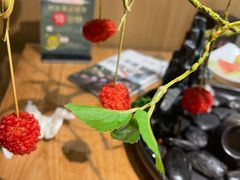 -一朵菌·野生菌探索家火锅(南亚店)