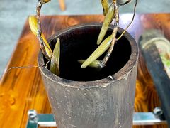 -竹一味·竹筒饭