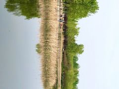 -永定河休闲森林公园