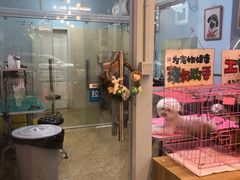 -小呆的宠物店·宠物售卖·宠物寄养(城西店)