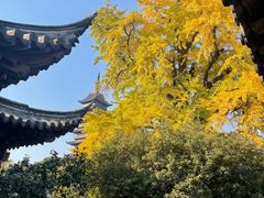 -常熟方塔园