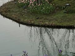 -圩墩遗址公园