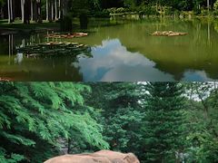 -野象谷景区