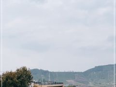 -白茶原·一片叶子