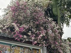 -深圳国际园林花卉博览园