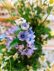 -今日陶艺(富力广场店)