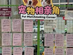 -帕帕拉兹宠物(亚洲旗舰店)