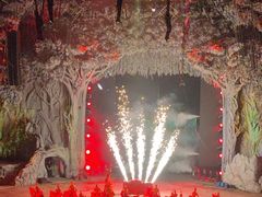 -广州长隆国际大马戏