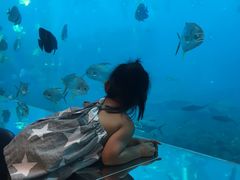 -瑞德姆美人鱼海底演艺主题餐厅(亚龙湾店)