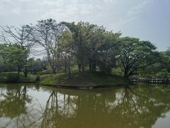 -中国科学院西双版纳热带植物园