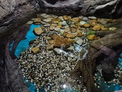 -多彩贵州城极地海洋世界