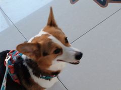 -美联众合24小时·皮肤科·外科·全科诊疗中心(华苑分院)