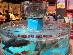 -魏铭鱼头捞饭(晋阳路店)