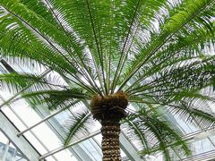 -国家植物园南园