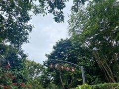 -中国科学院西双版纳热带植物园