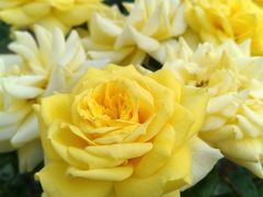 -人民公园(罗湖区)