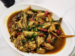 花泥鱼-金海湾海鲜排档(朱家尖店)