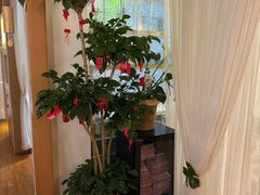 -沐森 •疗愈头疗馆(打浦桥店)