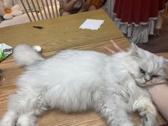 -朝画惜时·陶艺·拼豆·团建