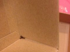 iphone_upload_pic-Babycat私家御饼屋(龙头路一店)