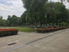 -眉山湿地公园(东坡区)