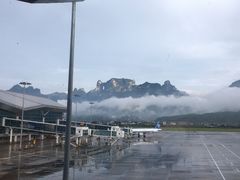 -猪脑壳凉面(武陵源店)