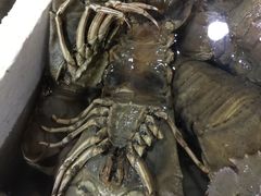 -金巴兰海鲜王