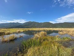 -腾冲北海湿地