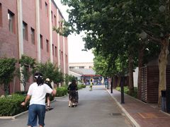 -TAC滑板滑雪俱乐部(朗园park店)