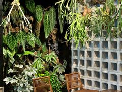 -自由生长植物工作室(深港花卉中心店)