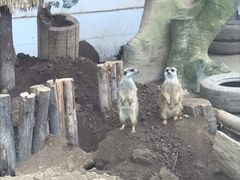 -西安秦岭野生动物园