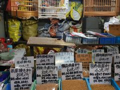 -万商花鸟市场