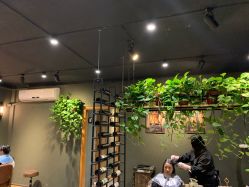 -藤野造型·专业烫染店