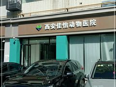 -佳怡动物医院·平价24小时·猫专科骨外科