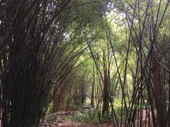 -峨眉山报国寺