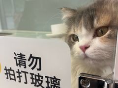 -首开·龙湖成都西宸天街