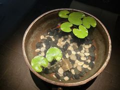 -曲水兰亭(北京四惠店)