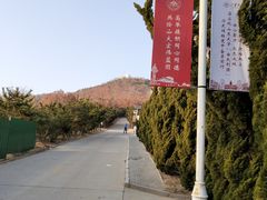 -山东大学(威海校区)