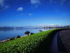 -福田红树林生态公园