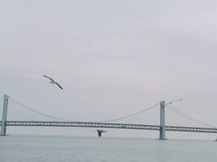 -星海广场