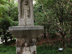 -汇龙潭