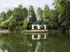 -红梅公园