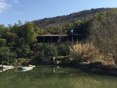 -宝岩生态观光园